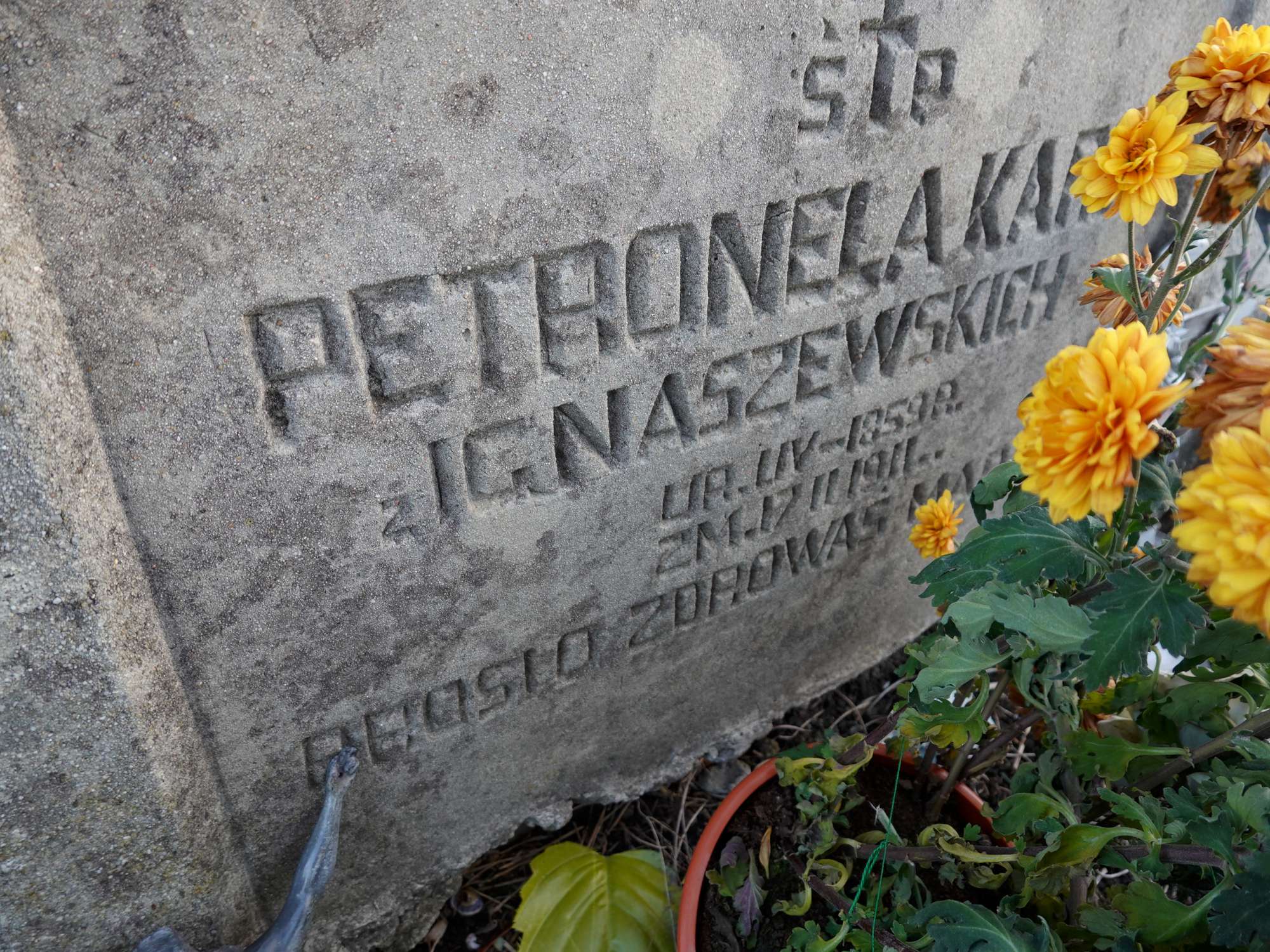 Petronela Karcz 1859 Wieruszów - Grobonet - Wyszukiwarka osób pochowanych